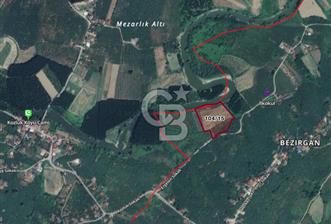 Gelişen Bölgede 13 Dönüm Tarla Tarıma ve Yatırıma Uygun - 3 - 322345