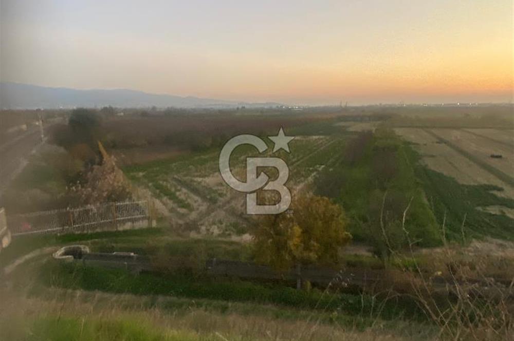 MENEMEN YANIKKÖYDE SATILIK BAĞ