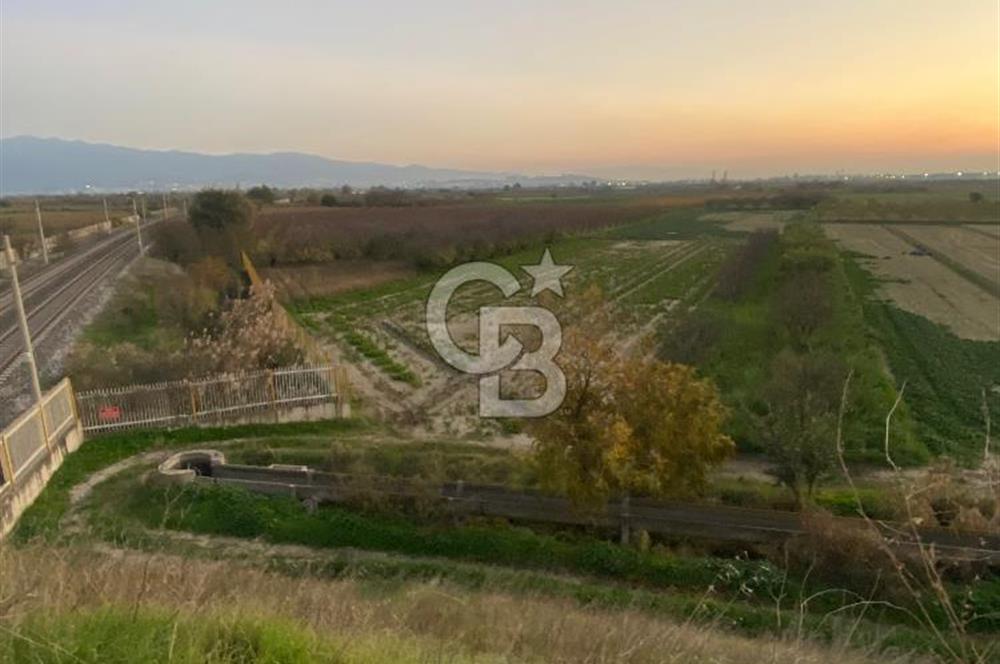 MENEMEN YANIKKÖYDE SATILIK BAĞ