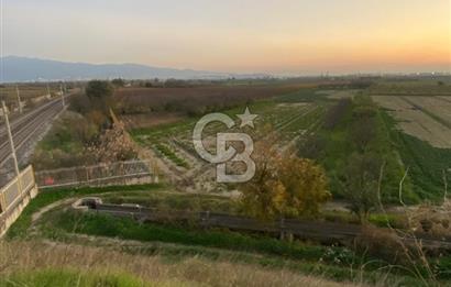 MENEMEN YANIKKÖYDE SATILIK BAĞ