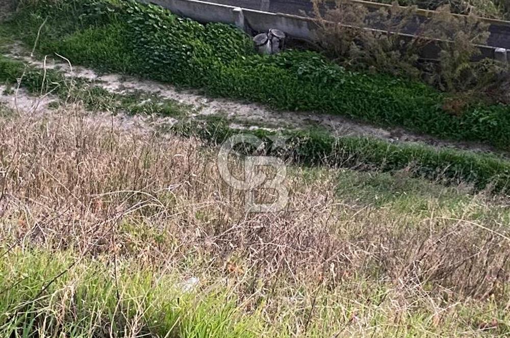 MENEMEN YANIKKÖYDE SATILIK BAĞ