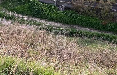 MENEMEN YANIKKÖYDE SATILIK BAĞ