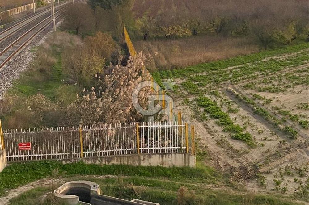 MENEMEN YANIKKÖYDE SATILIK BAĞ