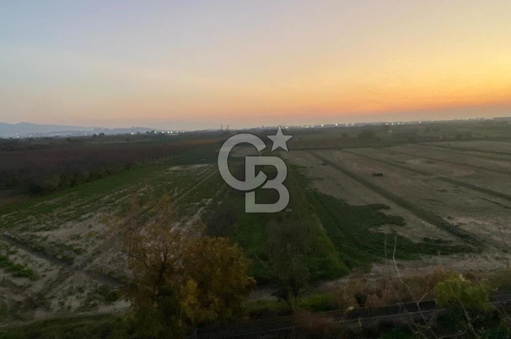 MENEMEN YANIKKÖYDE SATILIK BAĞ