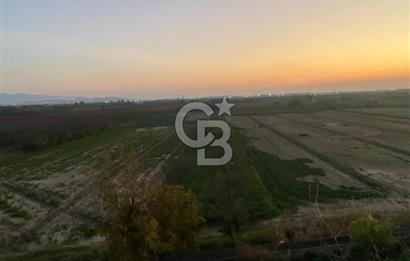 MENEMEN YANIKKÖYDE SATILIK BAĞ