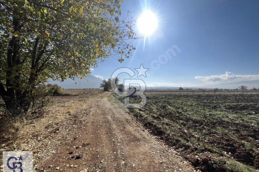 Acıpayam Kumafşarı'da Satılık Tarla