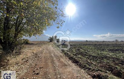 Acıpayam Kumafşarı'da Satılık Tarla