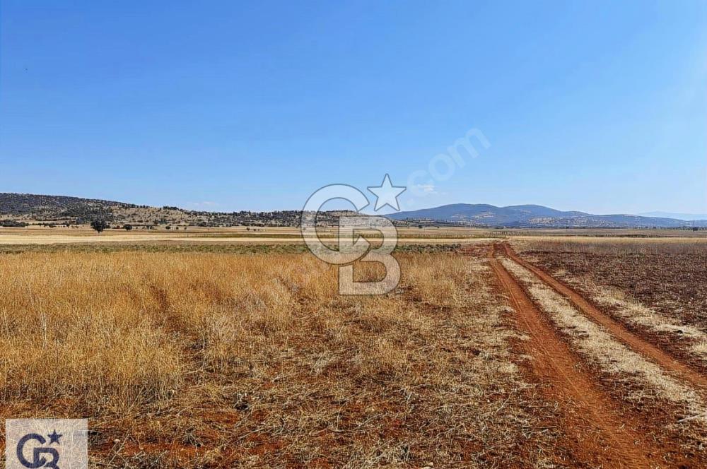 Bekilli Yeşiloba'da Satılık Arazi