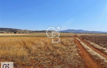Bekilli Yeşiloba'da Satılık Arazi