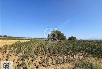 Tavas Karahisar'da Köy Yakını Satılık Tarla - 8 - 322371