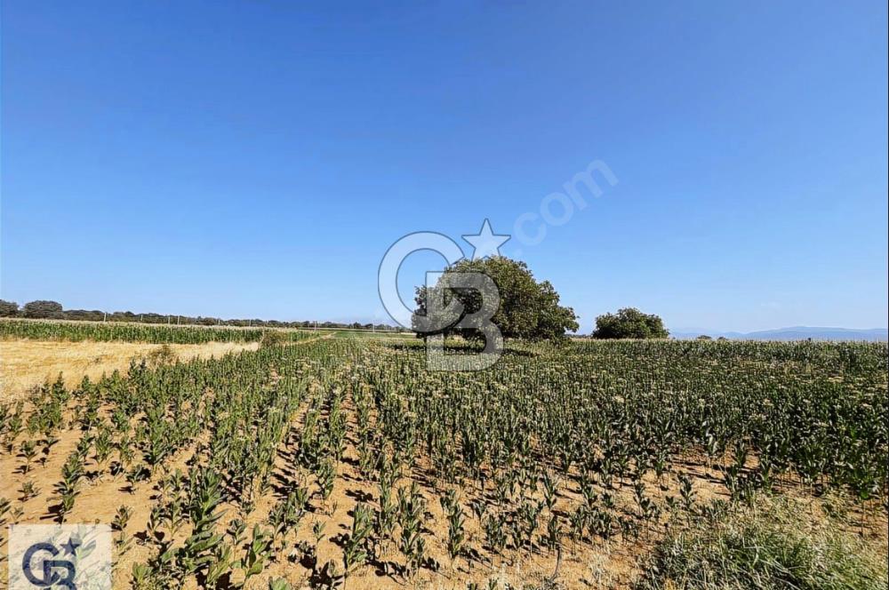 Tavas Karahisar'da Köy Yakını Satılık Tarla