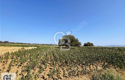 Tavas Karahisar'da Köy Yakını Satılık Tarla