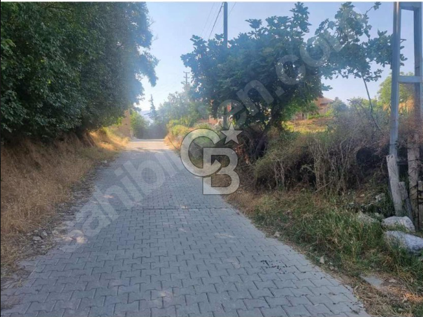 Çal Bayıralan'da Satılık İmarlı Arsa