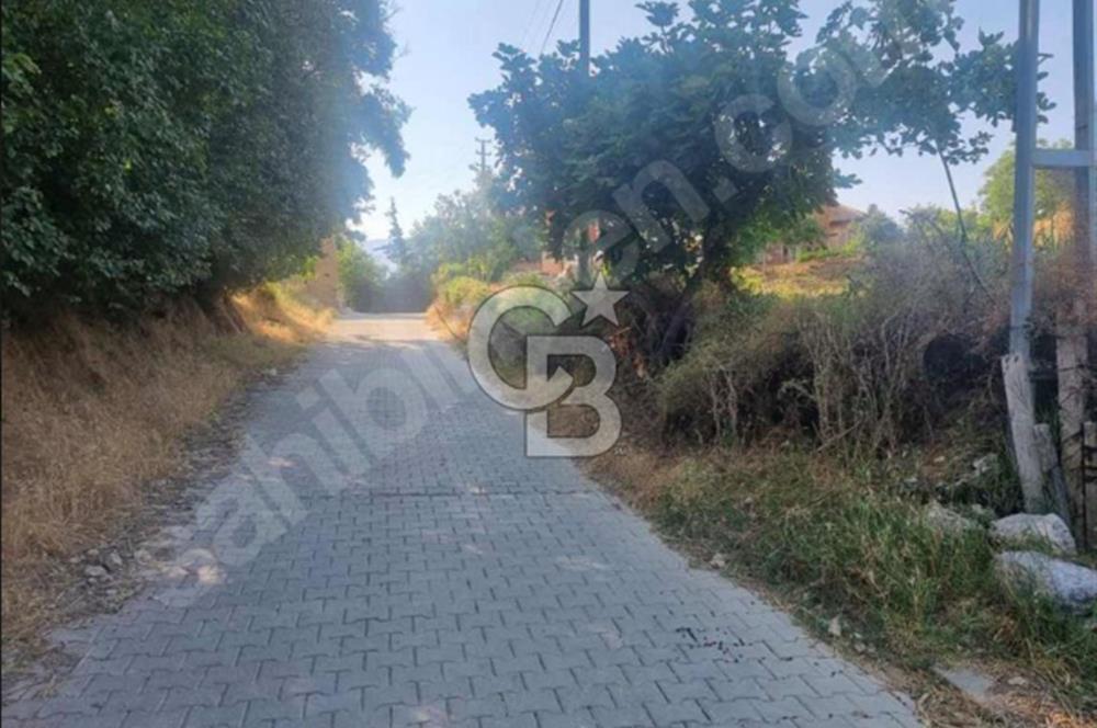 Çal Bayıralan'da Satılık İmarlı Arsa