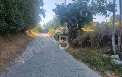 Çal Bayıralan'da Satılık İmarlı Arsa