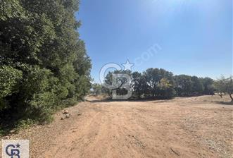 Tavas Vakıf'da Satılık Tarla - 6 - 322374