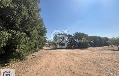 Tavas Vakıf'da Satılık Tarla