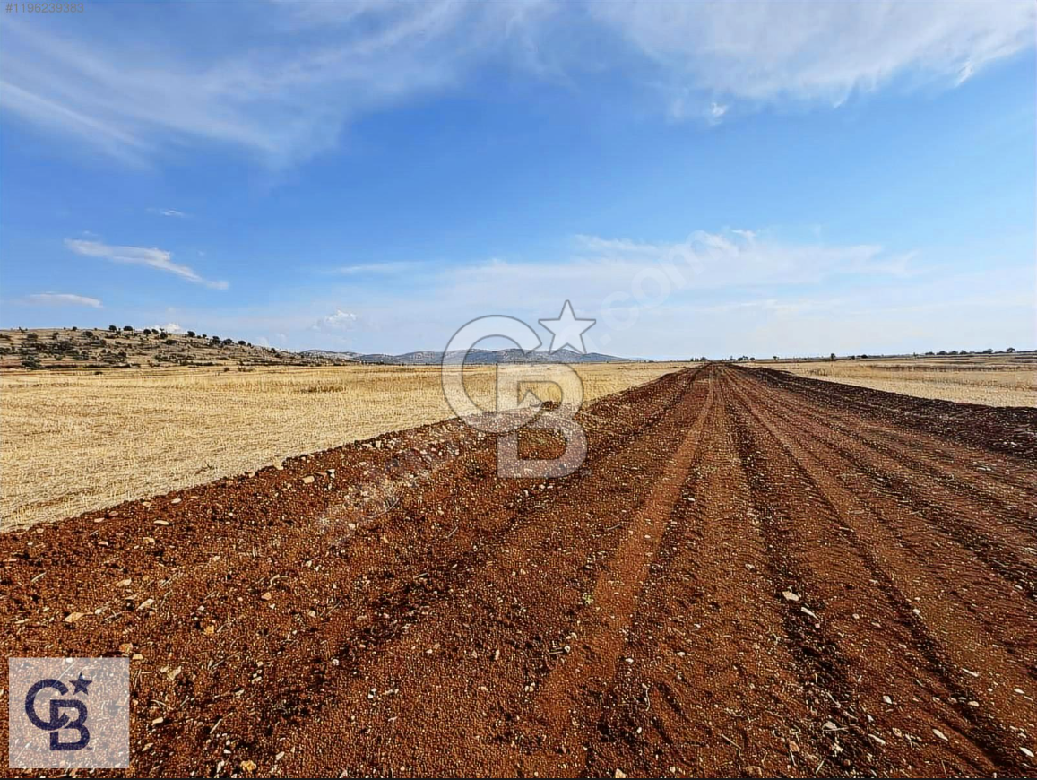 Uşak Ulubey Hasköy'de Satılık Tarla