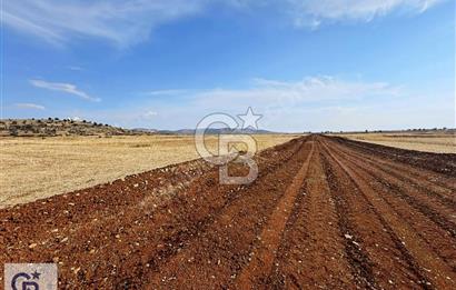 Uşak Ulubey Hasköy'de Satılık Tarla
