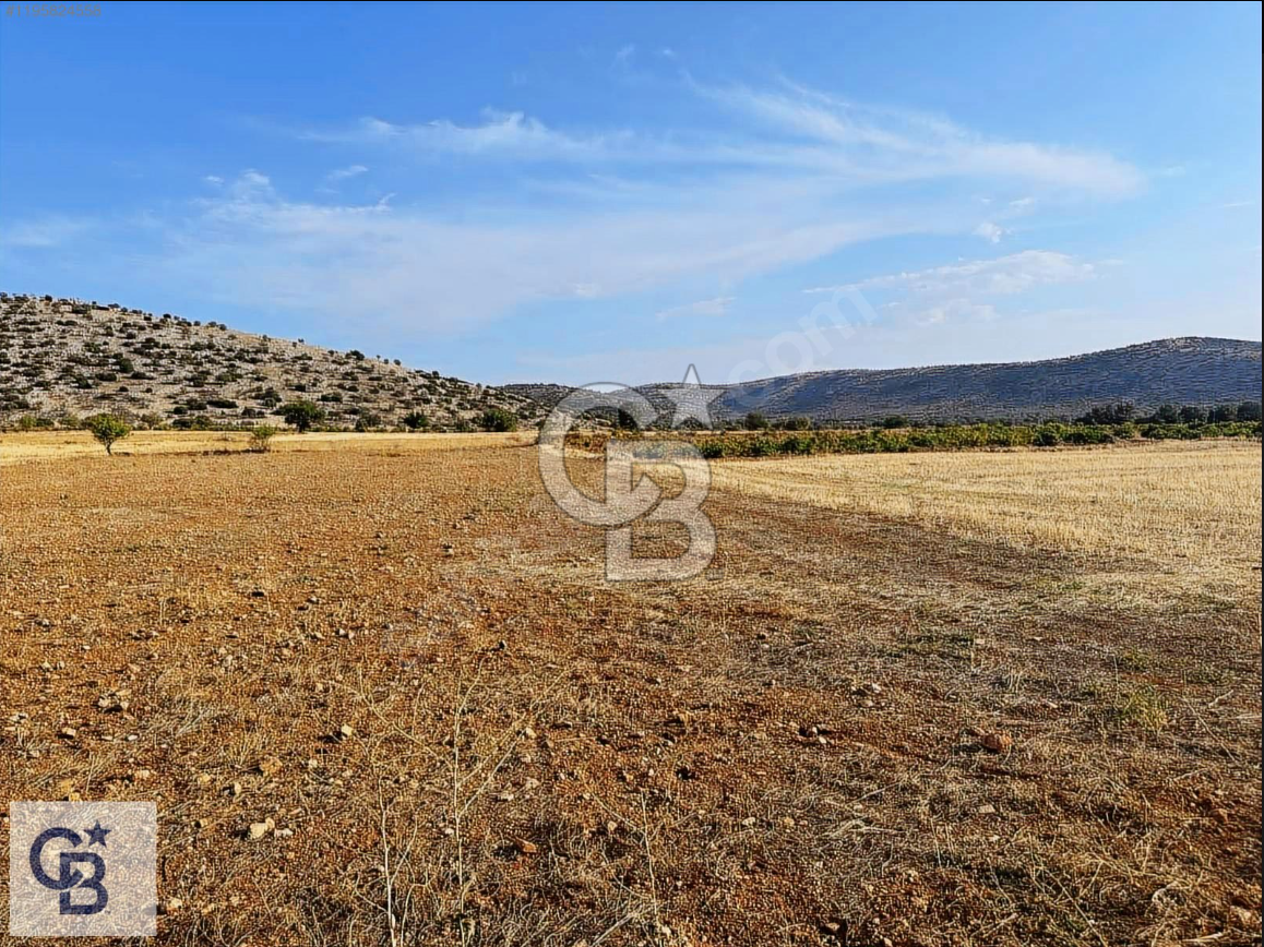 Uşak Karahallı Beki'de Satılık İmar Yakını Arazi