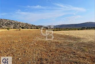 Uşak Karahallı Beki'de Satılık İmar Yakını Arazi - 3 - 322377