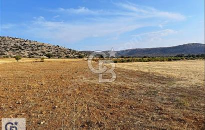 Uşak Karahallı Beki'de Satılık İmar Yakını Arazi