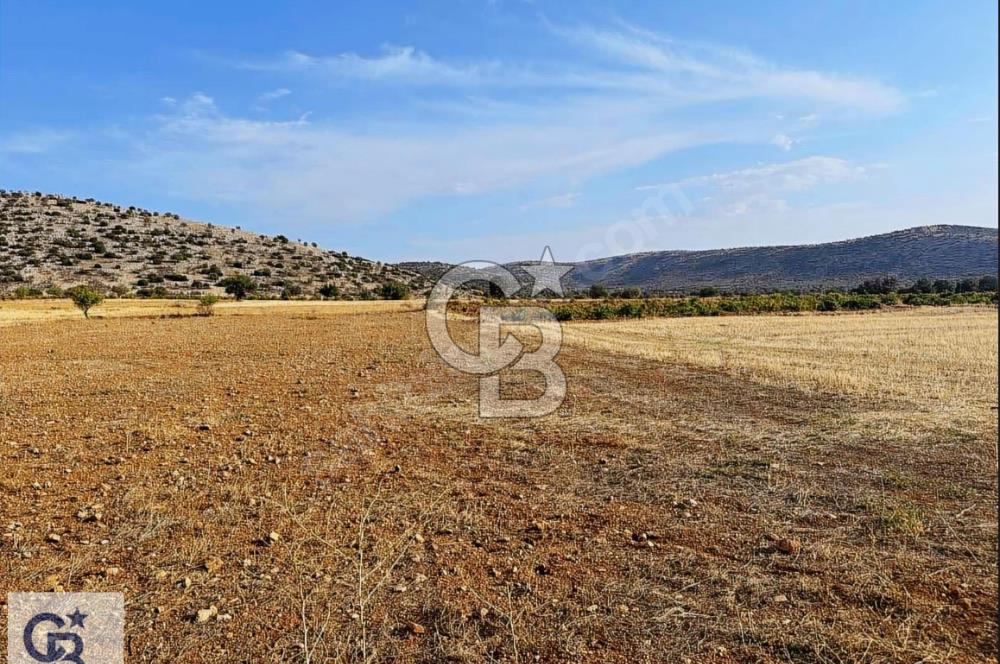Uşak Karahallı Beki'de Satılık İmar Yakını Arazi