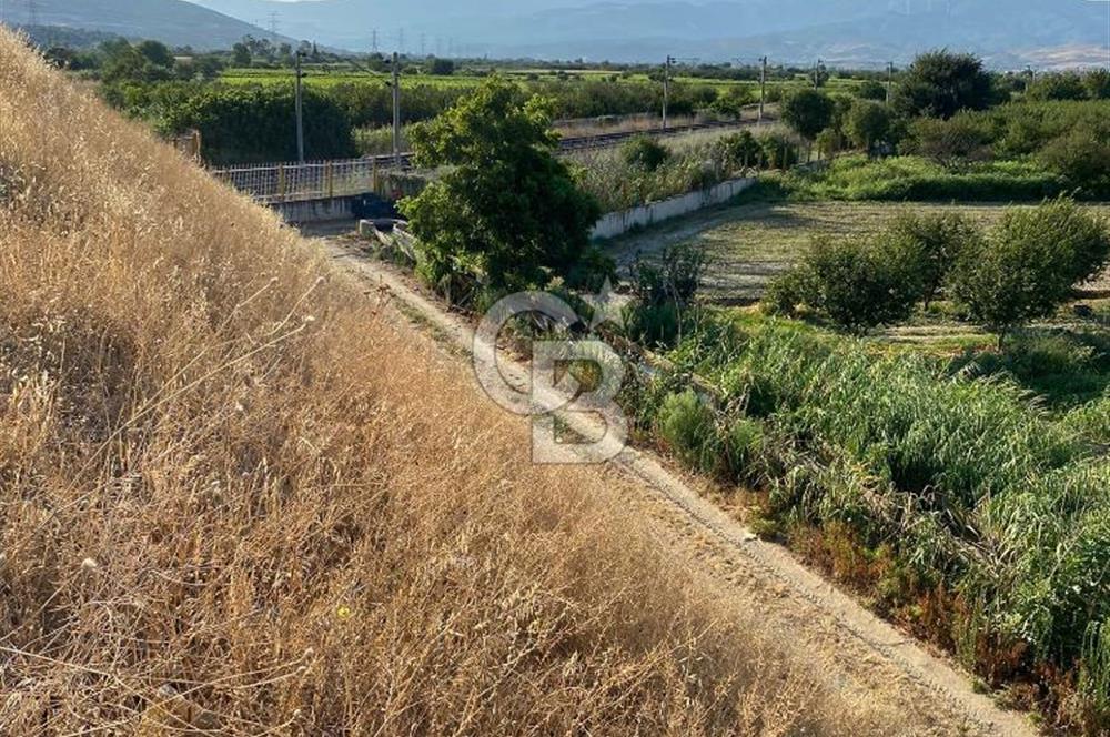MENEMEN YANIKKÖYDE SATILIK BAĞ