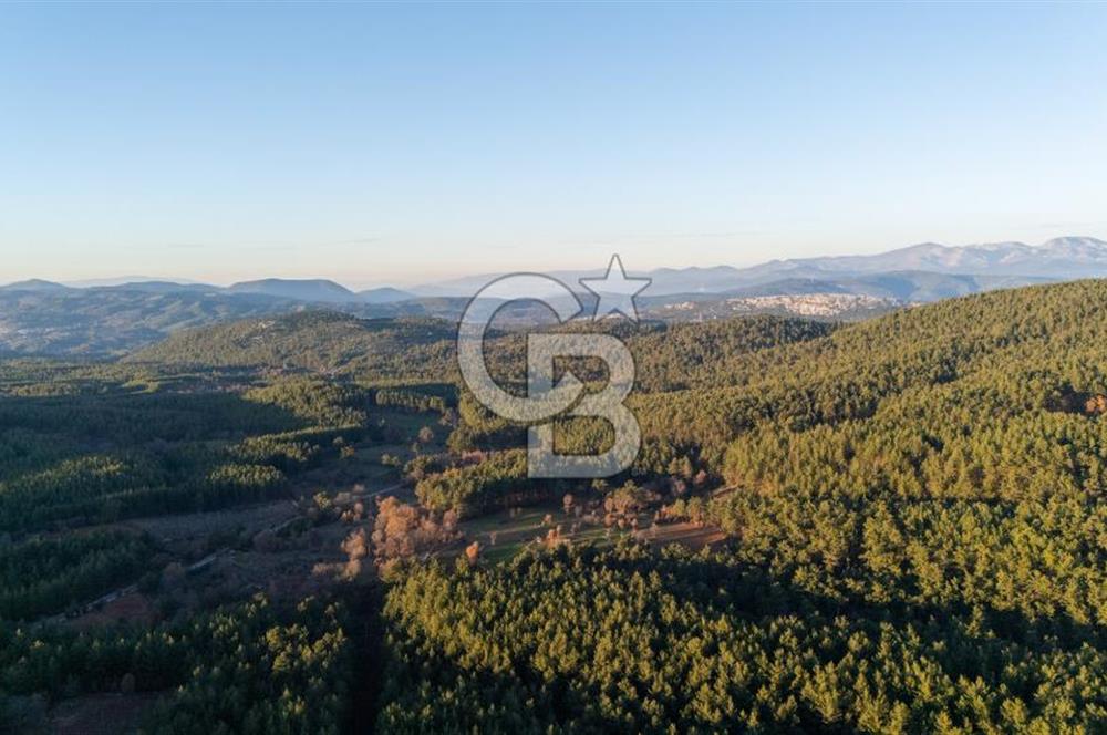 MUĞLA MENTEŞE KUYUCAK KÖYİÇİ İMARLI 1.000 M2 SATILIK