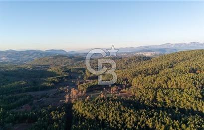 MUĞLA MENTEŞE KUYUCAK KÖYİÇİ İMARLI 1.000 M2 SATILIK