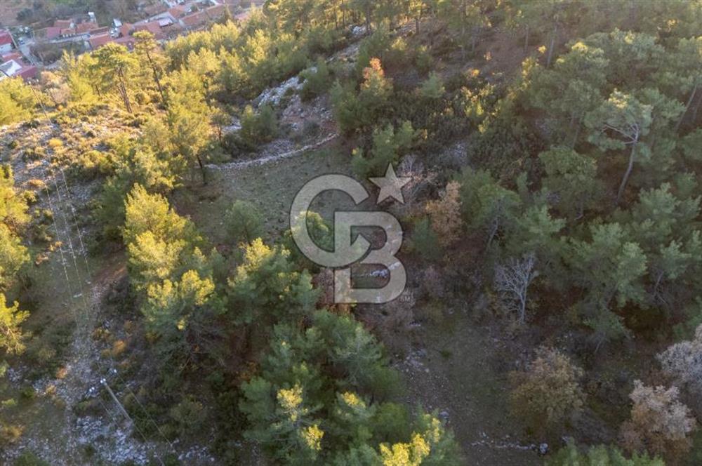 MUĞLA MENTEŞE KUYUCAK KÖYİÇİ İMARLI 1.000 M2 SATILIK