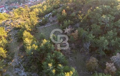 MUĞLA MENTEŞE KUYUCAK KÖYİÇİ İMARLI 1.000 M2 SATILIK