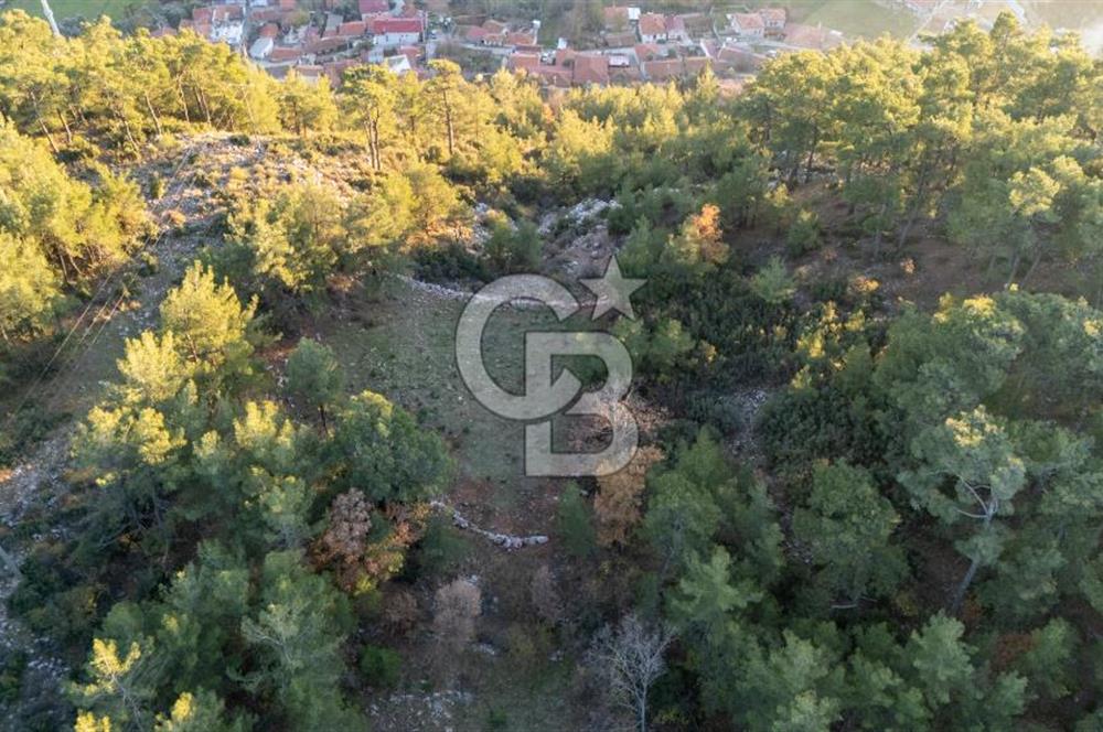 MUĞLA MENTEŞE KUYUCAK KÖYİÇİ İMARLI 1.000 M2 SATILIK