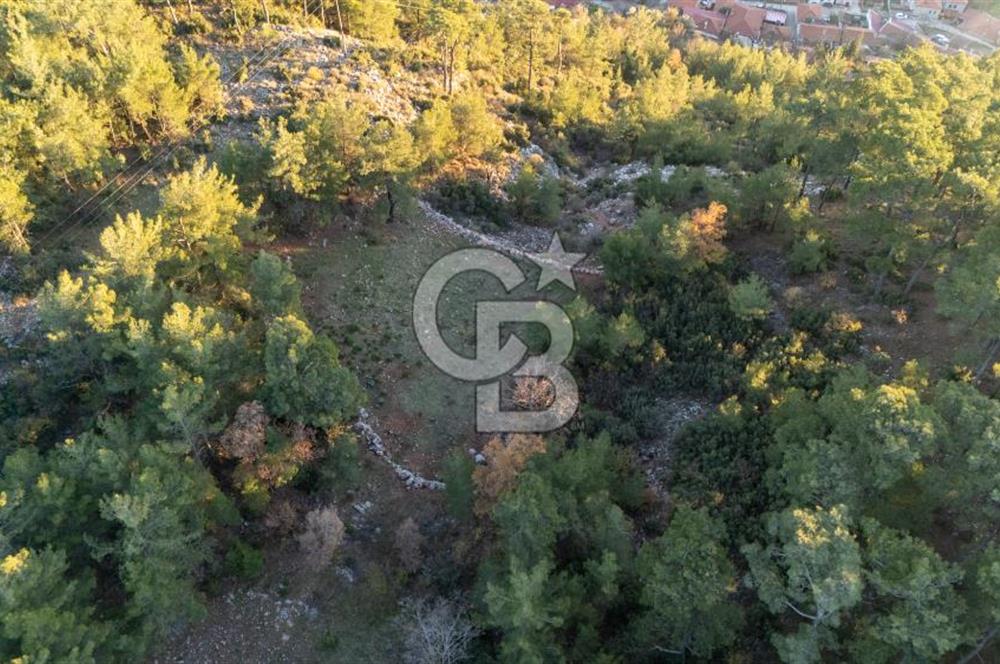 MUĞLA MENTEŞE KUYUCAK KÖYİÇİ İMARLI 1.000 M2 SATILIK