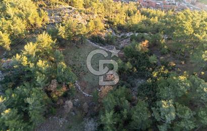 MUĞLA MENTEŞE KUYUCAK KÖYİÇİ İMARLI 1.000 M2 SATILIK