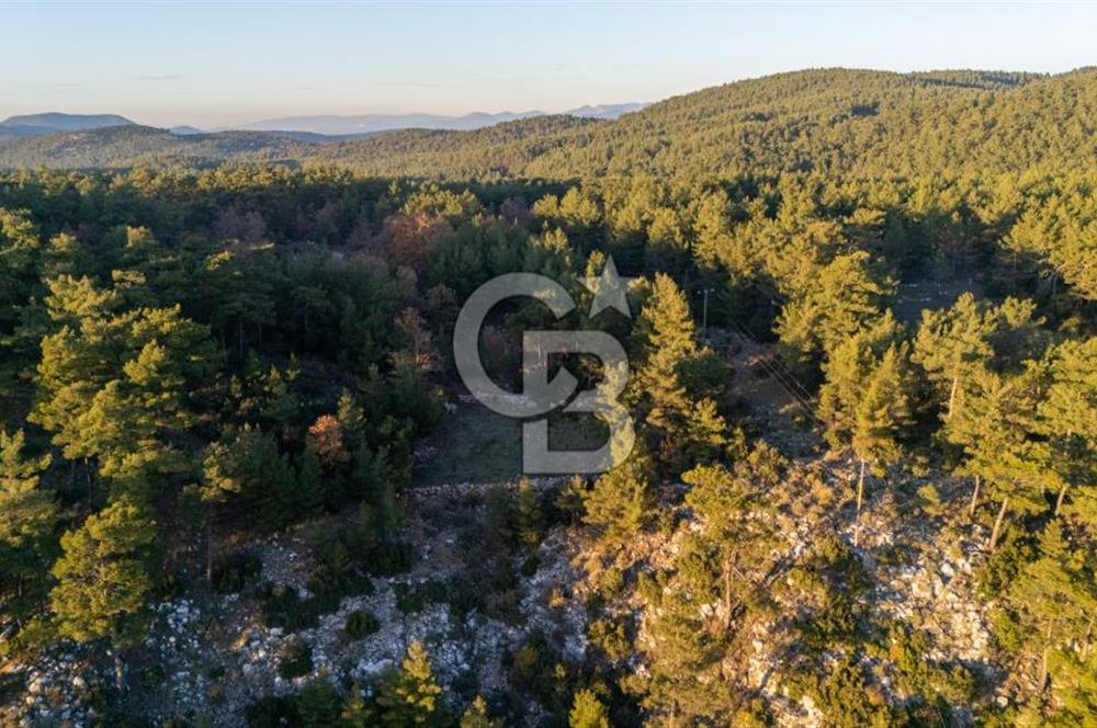 MUĞLA MENTEŞE KUYUCAK KÖYİÇİ İMARLI 1.000 M2 SATILIK