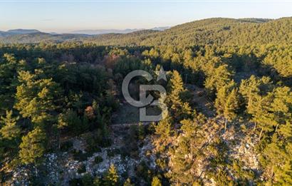 MUĞLA MENTEŞE KUYUCAK KÖYİÇİ İMARLI 1.000 M2 SATILIK