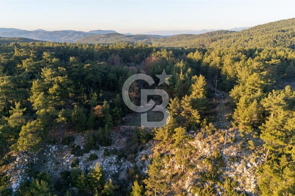 MUĞLA MENTEŞE KUYUCAK KÖYİÇİ İMARLI 1.000 M2 SATILIK