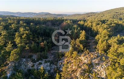 MUĞLA MENTEŞE KUYUCAK KÖYİÇİ İMARLI 1.000 M2 SATILIK