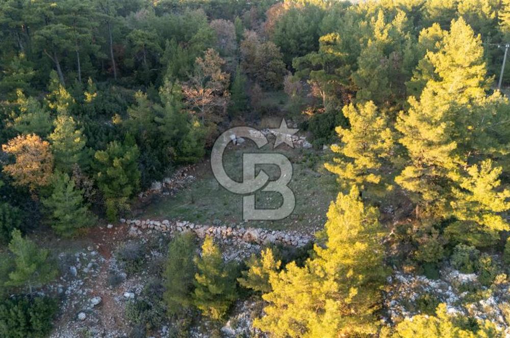 MUĞLA MENTEŞE KUYUCAK KÖYİÇİ İMARLI 1.000 M2 SATILIK