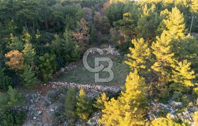 MUĞLA MENTEŞE KUYUCAK KÖYİÇİ İMARLI 1.000 M2 SATILIK