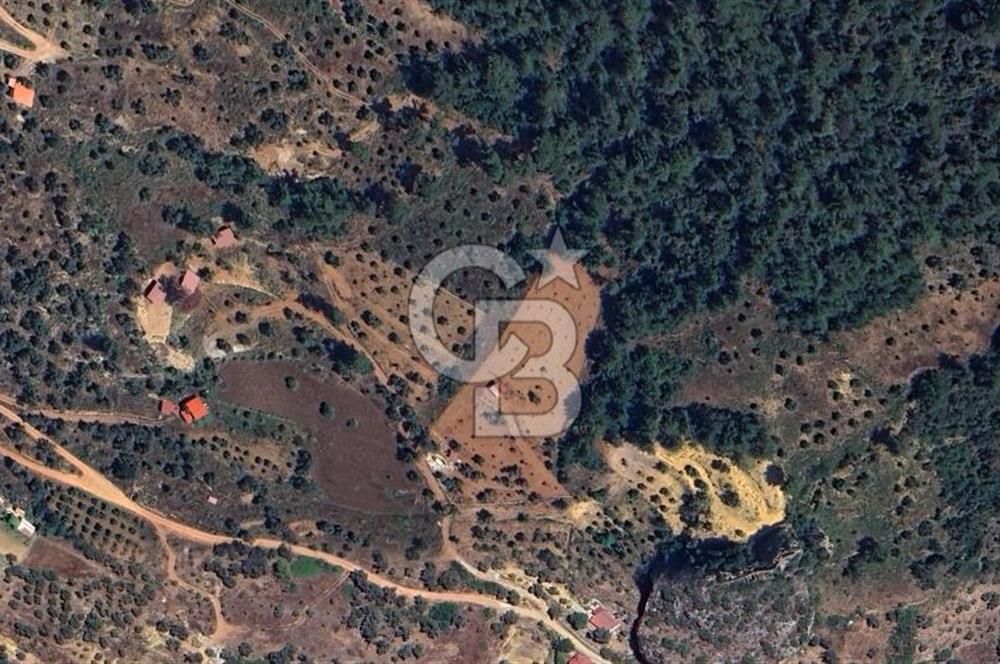 MUĞLA ZEYTİNKÖY'DE 2.178 M2 SATILIK TARLA