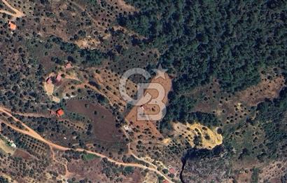 MUĞLA ZEYTİNKÖY'DE 2.178 M2 SATILIK TARLA