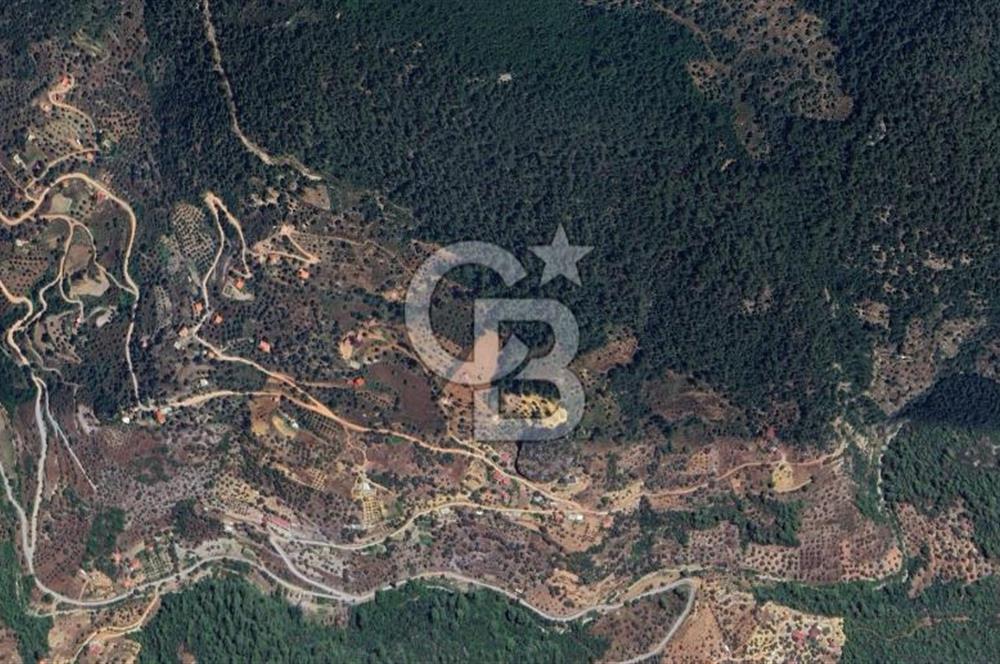 MUĞLA ZEYTİNKÖY'DE 2.178 M2 SATILIK TARLA