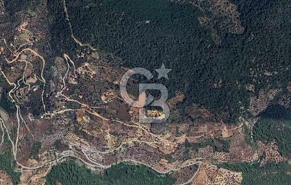 MUĞLA ZEYTİNKÖY'DE 2.178 M2 SATILIK TARLA