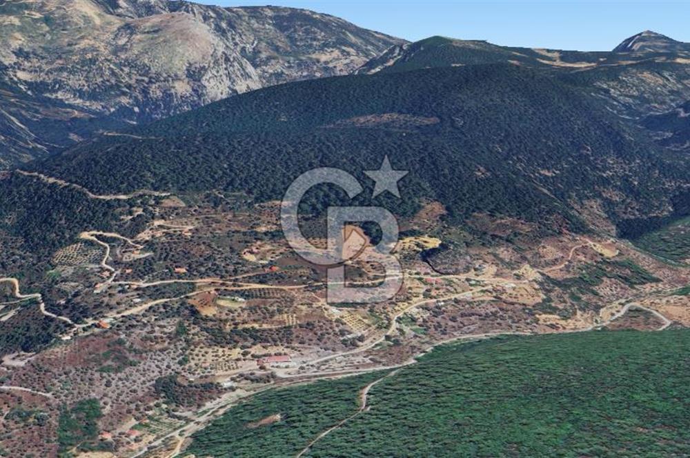 MUĞLA ZEYTİNKÖY'DE 2.178 M2 SATILIK TARLA