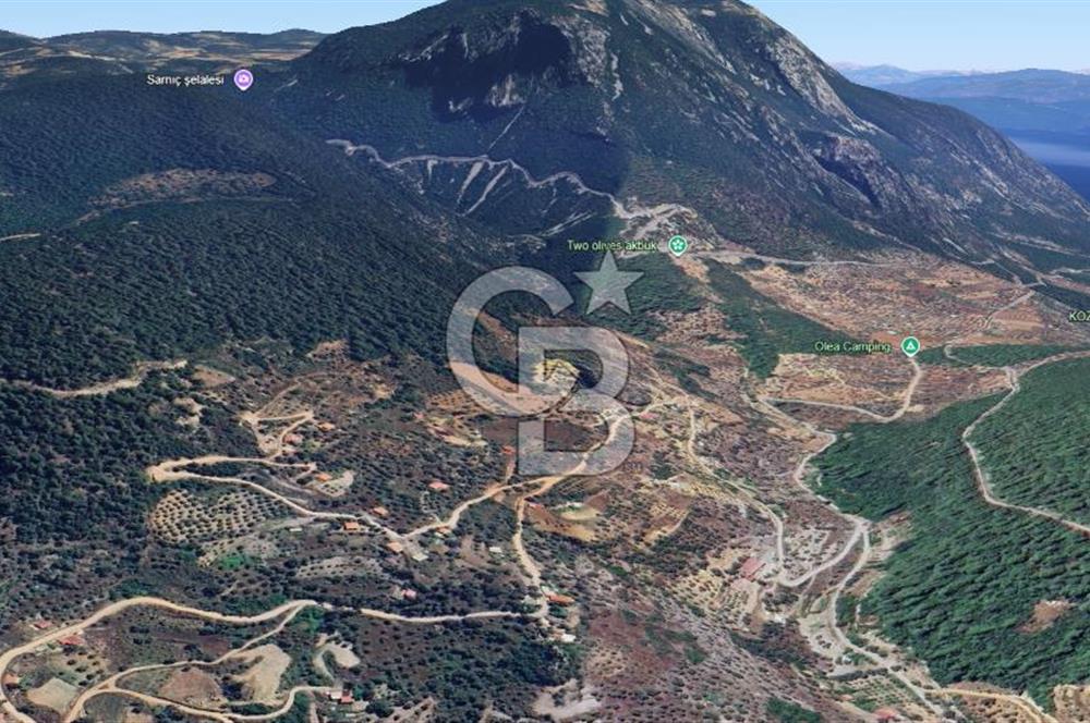 MUĞLA ZEYTİNKÖY'DE 2.178 M2 SATILIK TARLA