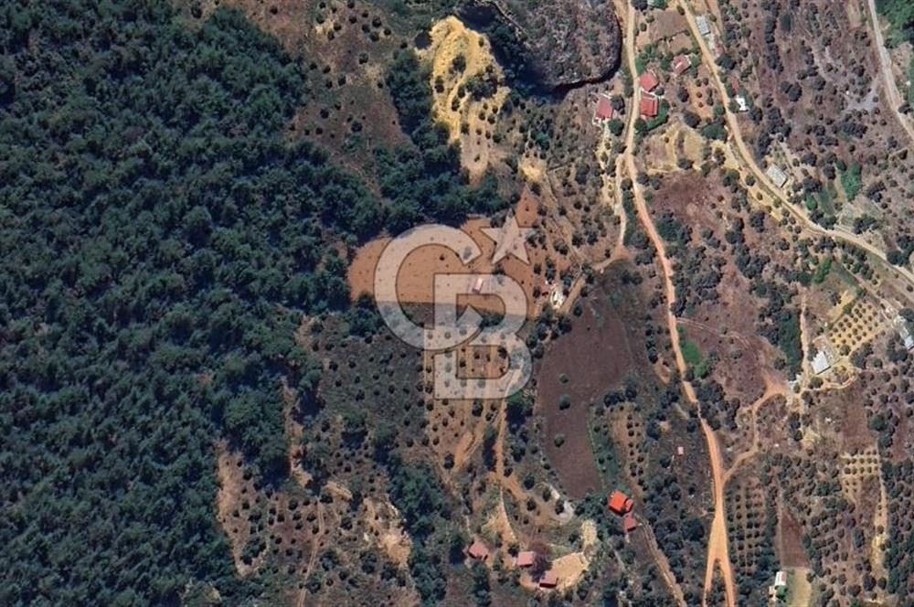 MUĞLA ZEYTİNKÖY'DE 2.178 M2 SATILIK TARLA