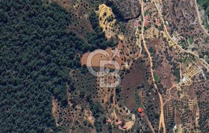 MUĞLA ZEYTİNKÖY'DE 2.178 M2 SATILIK TARLA