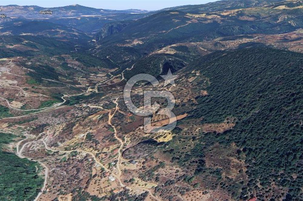 MUĞLA ZEYTİNKÖY'DE 2.178 M2 SATILIK TARLA